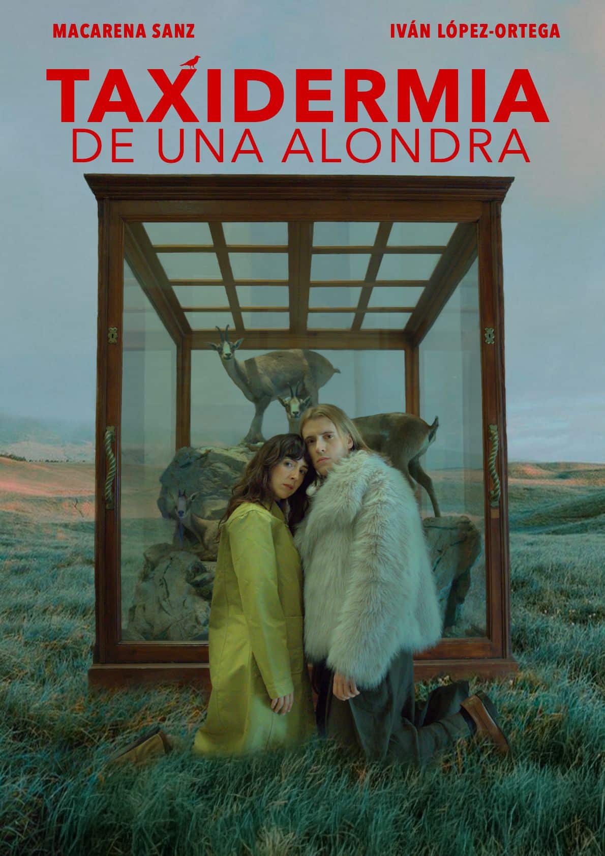 Taxidermia de una Alondra
