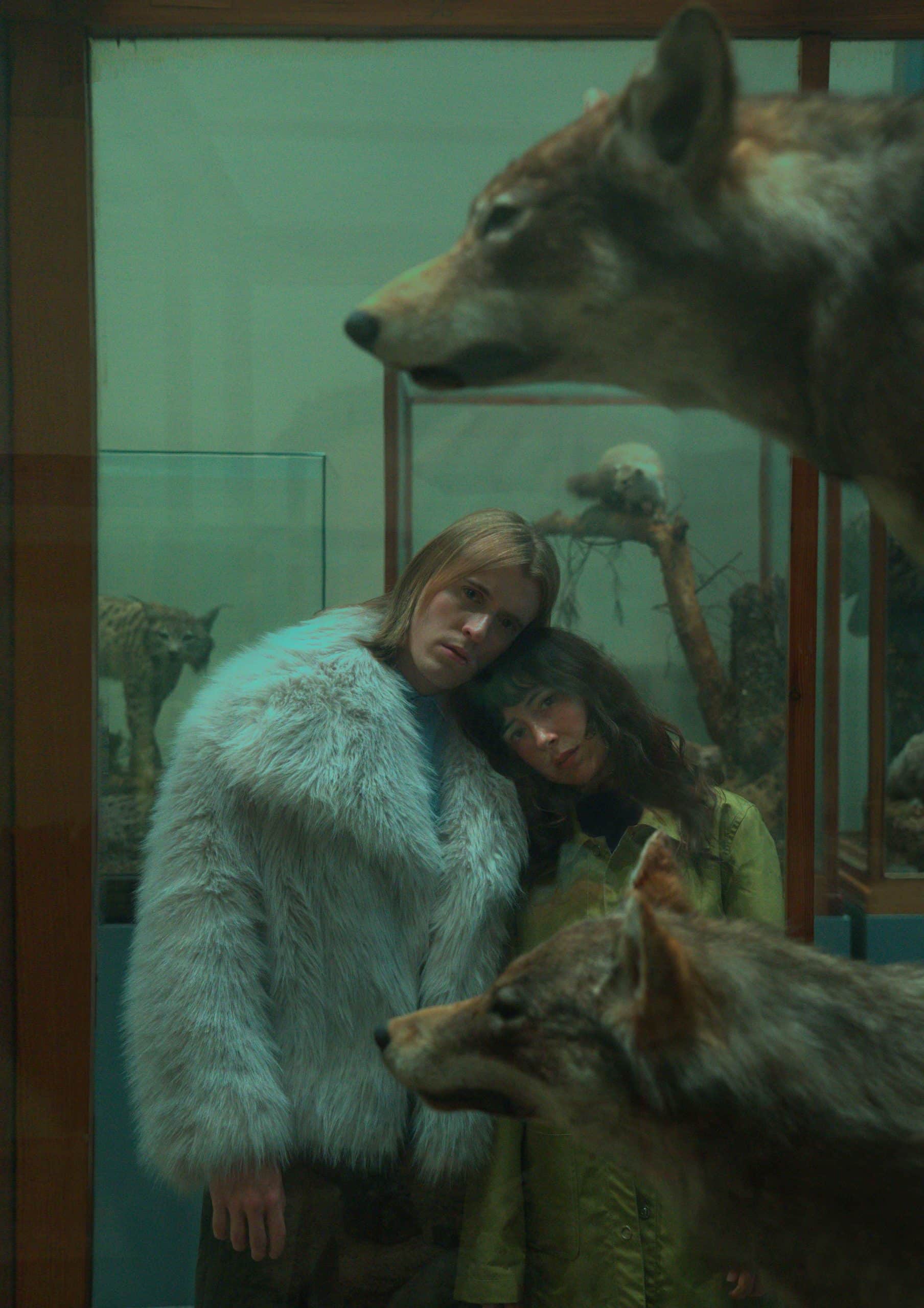 Taxidermia de una Alondra
